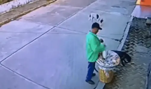 Las cámaras de seguridad captaron el momento en que el vendedor ambulante compartió su mercadería con dos perritos de la calle. Foto: captura de Facebook
