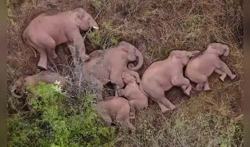 Las autoridades evacuaron a más de 2.000 residentes locales. Foto: captura de Instagram