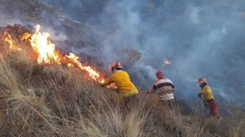 Dificultades. Falta de accesos a ciertas zonas de cerro Curi obstaculizan trabajo de bomberos. Dificultades. Falta de accesos a ciertas zonas de cerro Curi obstaculizan trabajo de bomberos.