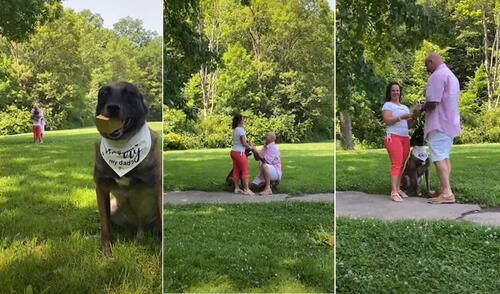 Miles de usuarios en las redes sociales quedaron conmovidos con esta tierna escena. Foto: captura de YouTube