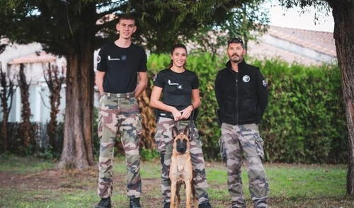 La tierna historia de Hit se hizo viral en las redes sociales. Foto: captura de Facebook La tierna historia de Hit se hizo viral en las redes sociales. Foto: captura de Facebook