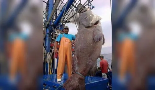 Algunos usuarios sí se dieron cuenta de que se trataba de fake news. Foto: Noel Ramón Vizcarra Algunos usuarios sí se dieron cuenta de que se trataba de fake news. Foto: Noel Ramón Vizcarra