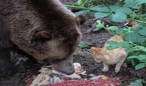 El video ha sido compartido en la página calvin kennedy. Foto: captura de Facebook El video ha sido compartido en la página calvin kennedy. Foto: captura de Facebook