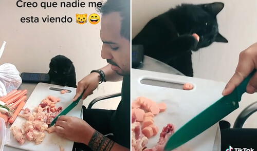 Las imágenes hicieron reír a miles de usuarios en las redes sociales. Foto: captura de TikTok