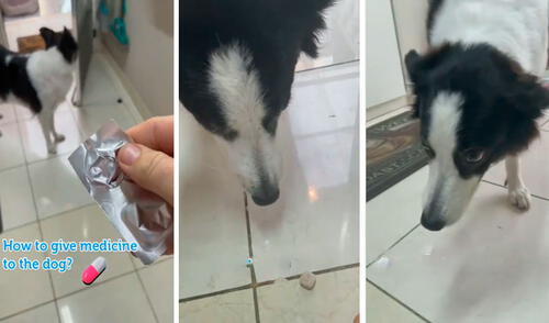 Un chico fingió que había botado un trozo de carne al suelo para llamar la atención de su mascota; sin embargo, en realidad era su medicina. Foto: captura de Facebook