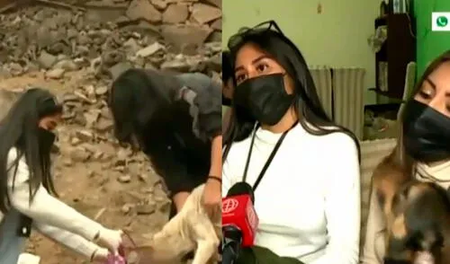 Las mascotas que tienen se encuentran en adopción. Foto: composición/América Noticias