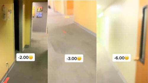 El video se ha vuelto viral en redes sociales y cuenta con más de 11 millones de reproducciones. Foto: captura de TikTok