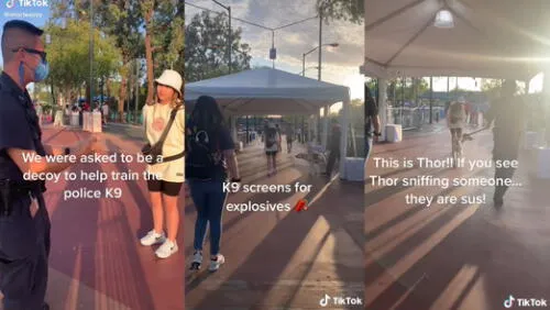 “Ahora sabes cómo Disneyland te mantiene a salvo”, sostuvo la chica. Foto: captura de TikTok