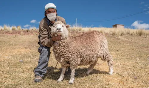 Puno fue la región que lidera los desembolsos. Foto: Agrobanco.