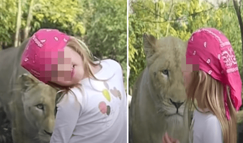 El video viral ha sido compartido en el canal Oxart. Foto: captura de YouTube