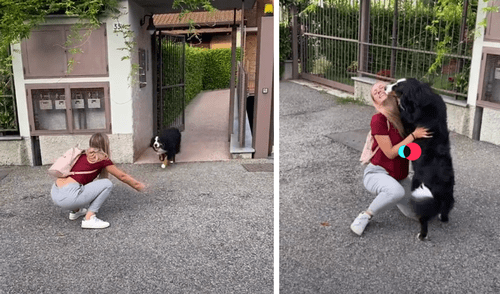 El video viral ha causado gran sensación en las redes sociales. Foto: captura de TikTok