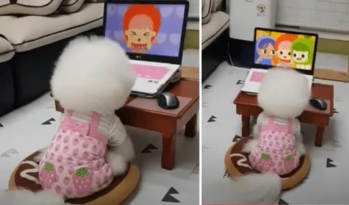 El video viral ha causado gran sensación en las redes sociales. Foto: captura de Facebook