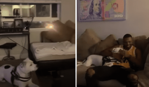 El video viral ha sido compartido en la página ViralSnare Rights Management. Foto: captura de Facebook El video viral ha sido compartido en la página ViralSnare Rights Management. Foto: captura de Facebook