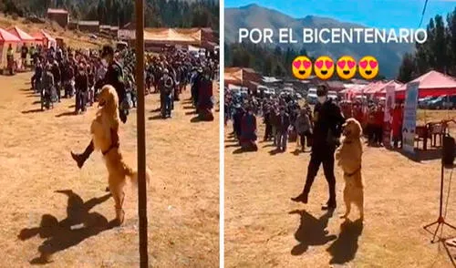 Los canes de la Policía Nacional del Perú sorprendieron con sus habilidades al participar de un evento al aire libre para festejar los 200 años de independencia. Foto: captura de TikTok