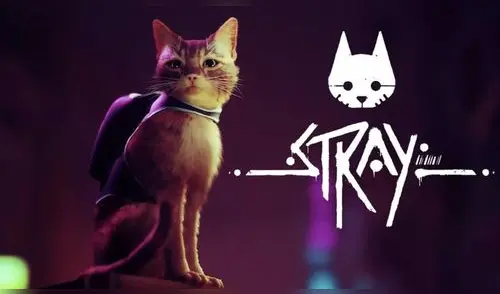 Nuevo juego te permitirá vivir como un gato callejero en medio de una gran ciudad