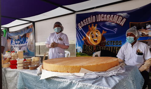 En el queso más grande se usaron 627 litros de leche para elaborarlo. Foto: Cedepas Norte