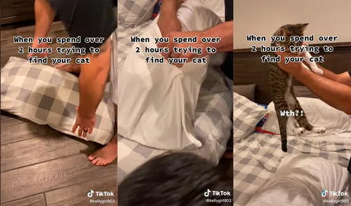 El minino asustó a sus dueños al permanecer cerca de dos horas desaparecido. Foto: captura de TikTok El minino asustó a sus dueños al permanecer cerca de dos horas desaparecido. Foto: captura de TikTok