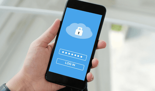 También tendrás la posibilidad de editar, eliminar o exportar tus contraseñas. Foto: Just Android