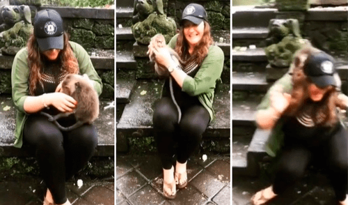 La respuesta de la madre generó un sin número de reacciones, ya que la turista incomodó a la cría de primate. Foto: captura de TikTok