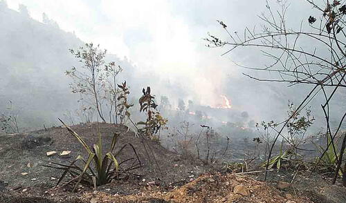 Incesante. Incendio duró una semana en Quispicanchi.