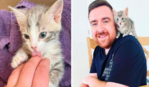 Una pareja detuvo su caminata frente a un depósito y abrió una bolsa de basura que no paraba de moverse, pero se dieron con la sorpresa de que había unos gatitos dentro. Foto: Luke Hewick/ Facebook Una pareja detuvo su caminata frente a un depósito y abrió una bolsa de basura que no paraba de moverse, pero se dieron con la sorpresa de que había unos gatitos dentro. Foto: Luke Hewick/ Facebook