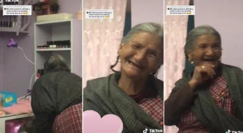 Alexa se ha vuelto la 'compañera' de la anciana. Foto: captura de TikTok