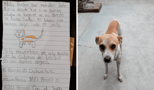 La niña dibujó a su perro con la esperanza de que la ayuden a ubicarlo. Foto: captura de Facebook La niña dibujó a su perro con la esperanza de que la ayuden a ubicarlo. Foto: captura de Facebook
