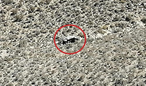 Accidente de tránsito ocurrió a la altura del tramo Planta-Mina. Foto: Radio Americana