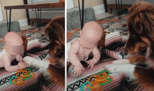 El video viral ha sido compartido en el canal BVIRAL. Foto: captura de YouTube