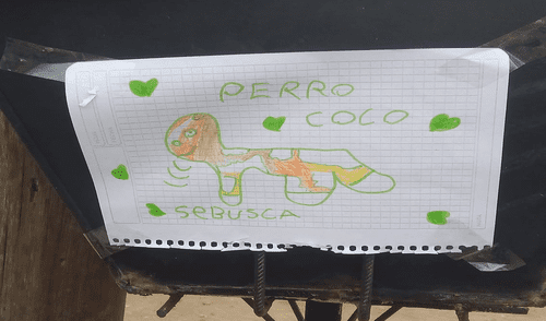 El dibujo del perrito alegre está hecho a mano. Usuarios en redes esperan que pronto se ubique al canino. Foto: captura de Facebook