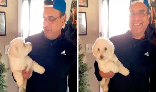 Una mujer le pidió a su esposo que busque a su mascota, pero unos detalles llamaron su atención y notó que era un animal diferente al suyo. Foto: Coco Salazar/ Facebook