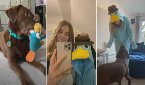 Miles de usuarios quedaron cautivados con esta curiosa escena. Foto: captura de YouTube