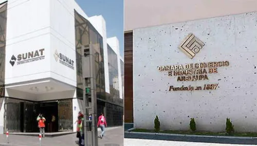 La Sunat y la Cámara de Comercio e Industria de Arequipa realizarán la charla virtual gratuita. Foto: La República