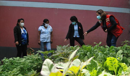 Qali Warma impulsa proyectos en comunidades. Foto: Qali Warma