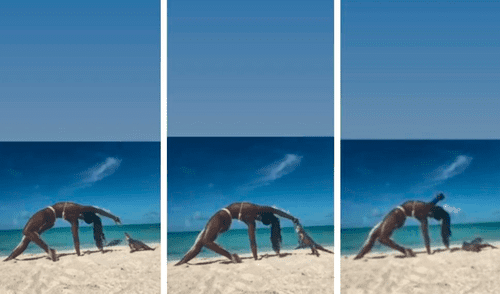 La joven realizaba estiramientos cuando el animal se acercó y le mordió el dedo. Foto: captura de Facebook