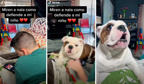 Una madre fingió que le llamaba la atención a su hijo por estar con el celular, pero jamás imaginó que su perrita se le iba a enfrentar para detener su acción. Foto: captura de TikTok Una madre fingió que le llamaba la atención a su hijo por estar con el celular, pero jamás imaginó que su perrita se le iba a enfrentar para detener su acción. Foto: captura de TikTok