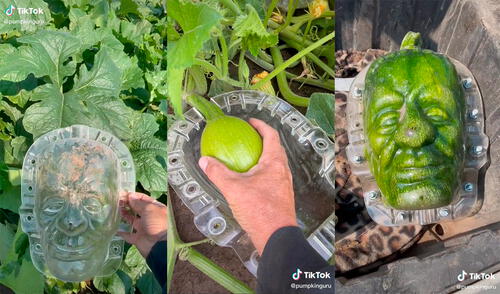 El hombre mostró su gran ingenio mientras trabajaba en su granja. Foto: captura de TikTok