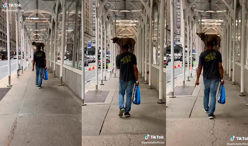 La dupla cautivó a miles de cibernautas con una enternecedora dinámica. Foto: captura de TikTok