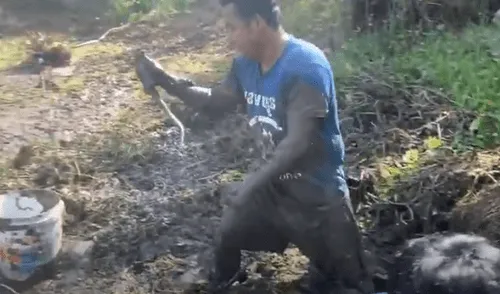 El video viral ha causado gran sensación en las redes sociales. Foto: captura de YouTube El video viral ha causado gran sensación en las redes sociales. Foto: captura de YouTube