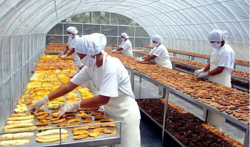 larepublica.pe larepublica.pe