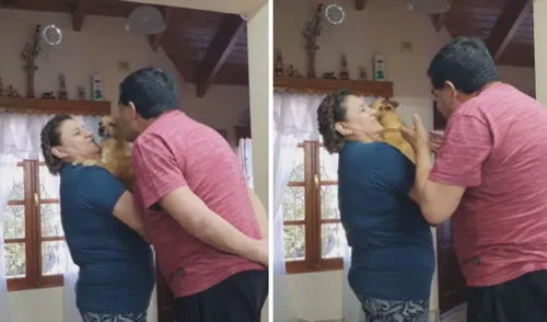 Miles de usuarios no han parado de reír con este video viral. Foto: captura de TikTok
