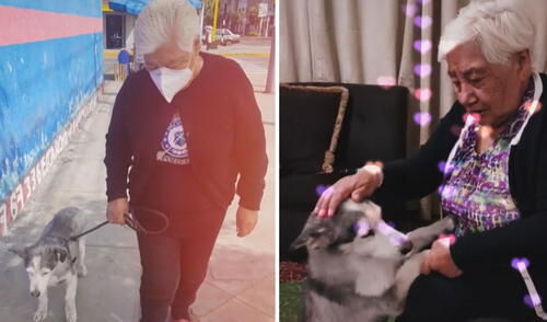 Miles de usuarios han quedado cautivados con las imágenes. Foto: captura de TikTok