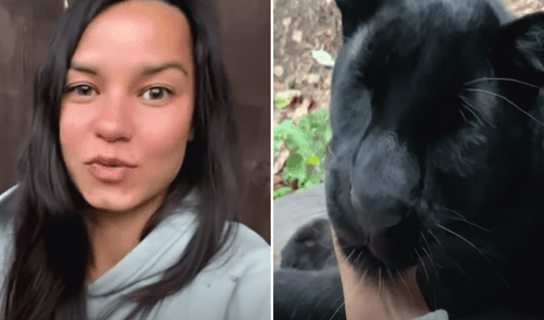 El video viral ha sido compartido en la página Luna_the_pantera. Foto: captura de Facebook