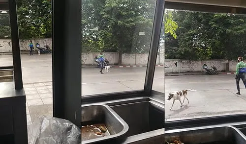 Este peculiar hecho sucedió en Bangkok, Tailandia. Foto: captura de YouTube