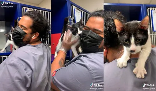 El minino cautivó a los presentes con su enternecedor comportamiento. Foto: captura de TikTok