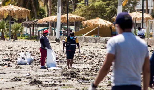 El gerente de Gestión Ambiental informó que esta campaña se irá replicando en distintos distritos de Paita. Foto: Municipalidad de Paita