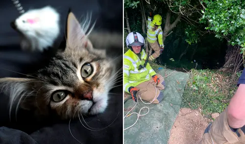 Los socorristas lograron sacar a la mujer del barranco después de un arduo trabajo. Foto: composición/AFP/Policía de Bodmin Los socorristas lograron sacar a la mujer del barranco después de un arduo trabajo. Foto: composición/AFP/Policía de Bodmin