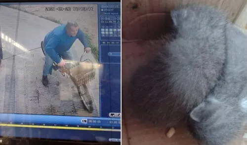 Las imágenes causaron rechazo en las redes sociales. Foto: captura de Facebook