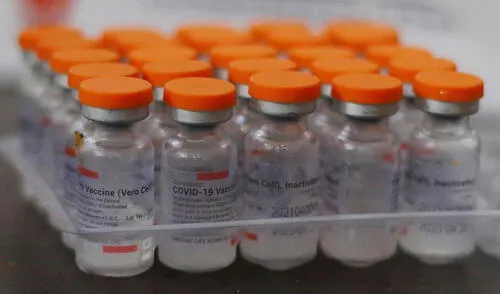 “La noticia es que Argentina termina el año 2021 con toda su población de más de 3 años cubierta, protegida”, dijo Vizzotti. Foto: EFE “La noticia es que Argentina termina el año 2021 con toda su población de más de 3 años cubierta, protegida”, dijo Vizzotti. Foto: EFE