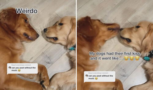 Miles de usuarios no han parado de reír con estas imágenes. Foto: captura de Facebook